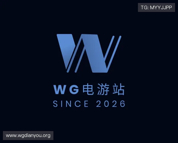 概述WG电游站